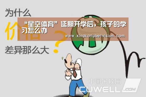 “星空体育”延期开学后,孩子的学习怎么办(图2) 星空体育