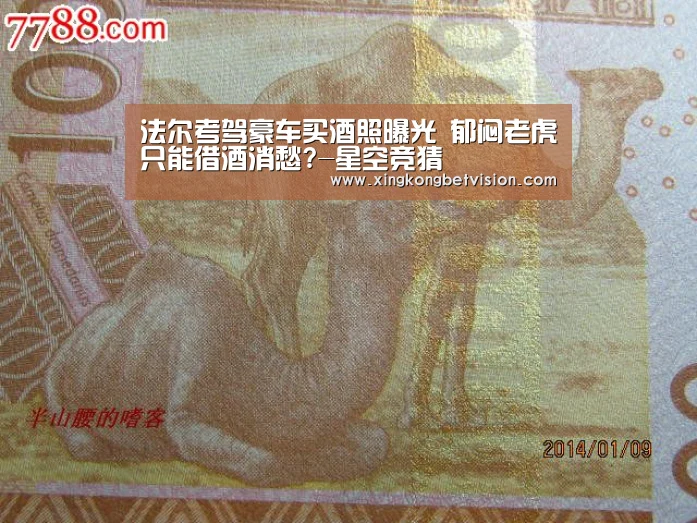 法尔考驾豪车买酒照曝光 郁闷老虎只能借酒消愁?-星空竞猜