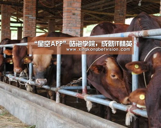 “星空APP”咕泡学院,成就IT精英(图1) 星空体育
