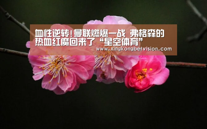 血性逆转!曼联燃爆一战 弗格森的热血红魔回来了“星空体育”(图2) 星空体育